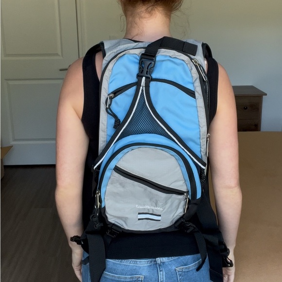 Eddie Bauer Blue and Gray Backpack - Picture 1 of 5